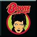 David Bowie steel fridge magnet