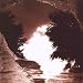 Feeding the Flames...Plus von Sad Lovers & Giants - alle Infos
