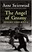 The Angel of Grozny:  Inside Chechnya (Paperback)