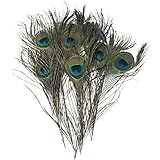 Pack of 30pc Natural Peacock Feathers 10-12''