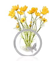 Artificial Cosmos in Patterned Vase