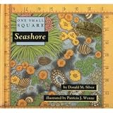 Seashore (One Small Square)