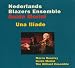 Guido Morini: Una Iliade