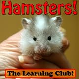 Hamsters! Learn About Hamsters And Learn To Read - The Learning Club! (45+ Photos of Hamsters)