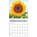 Sunflowers 2016 Wall Calendar