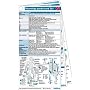 Neurology Pocketcard Set