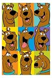 Scooby-doo! (Faces) - Maxi Poster - 61 cm x 91.5 cm