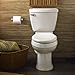 American Standard 2018.214.021 Champion-4 Elongated Combination Two-Piece Toilet, Bone