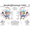 Handreflexzonen Tafel. DIN A3