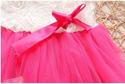 EGELEXY Toddler Baby Kids Girls Princess Party Tutu Lace Bow Flower Dresses 1T Rose