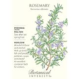 Rosemary Seeds