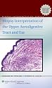 Biopsy Interpretation of the Upper Aerodigestive Tract and Ear (Biopsy Interpretation Series)