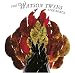 Music : Fire Songs