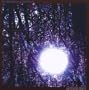 Luminous Night