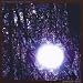 Six Organs Of Admittance-Luminous Night