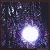 Image of album by Six Organs of Admittance