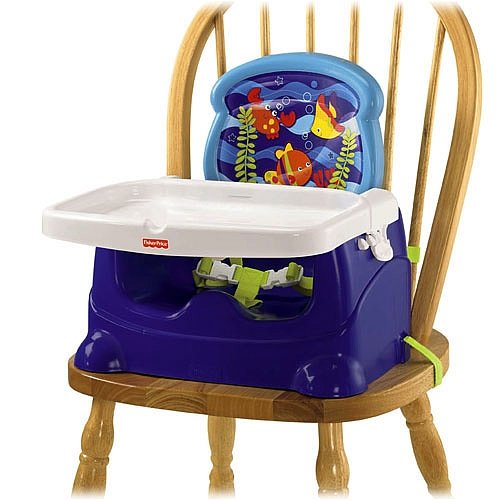Fisher Price Ocean Wonders Booster Seat