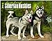 For the Love of Siberian Huskies 18-Month 2015 Calendar