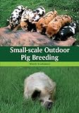 Small-Scale Outdoor Pig Breeding