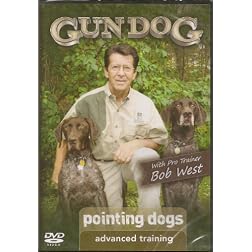 Advanced Training: Pointing Dogs