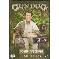 Advanced Training: Pointing Dogs