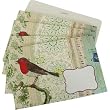 Robin Cavallini Set of 8 decorative envelopes with window