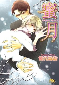 蜜月―Honey Moon (幻冬舎ルチル文庫)