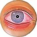 Herindera Clinical Manifestations of Conjunctivitis RS.1500.00