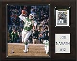 NFL Joe Namath New York Jets Player Plaque