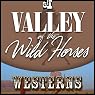 The Valley of Wild Horses
