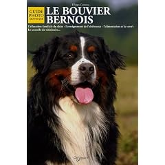 Le Bouvier bernois