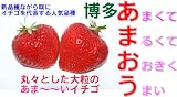 【送料無料】福岡県産博多あまおう Ｇパック 2パック産地箱入 ご家庭用わけあり(規格外品) *1月6日以降の発送予定