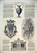 1852 Gold Vase Wood Carving Queen Cinque-Cento Jewel