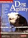 Introduction to Dog Agility