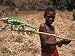Boy with Chameleon, Nosy Be, Madagascar, Africa Art Photographic Poster Print by Ken Gillham, 12x9