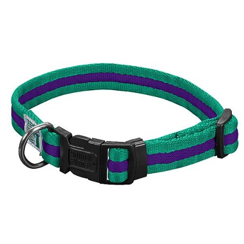 Animal Planet Quick Snap Cushy Pet Collar 1-inch Medium (13-in to 20-in) Teal / Purple