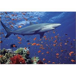 Melissa & Doug Shark 100 Piece Jigsaw Puzzle