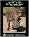 Book Lord of the Flies (LitPlans on CD)