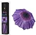 Gerber Purple Daisy Flower Women's Compact Folding Umbrella Auto Button Open