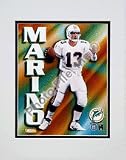 Dan Marino Photo File Gold I Double Matted 8 X 10 Photograph (Unframed)