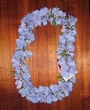 NEW! Silk Lavender Plumeria Lei, Matching Haku