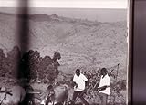 The book of Kenya