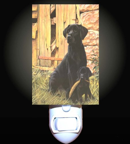 Black Labrador and Puppy Decorative Night Light