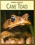 Cane Toad (Animal Invaders)