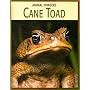 Cane Toad (Animal Invaders)