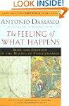 The Feeling of What Happens: Body and...