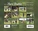 Barn Buddies 2009 Calendar: Horses & Their Friends 別画像