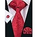 Hi-Tie Mens Red Silk Tie set
