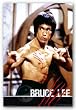 Bruce Lee Fight 24"x36" Art Print Poster