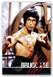 Bruce Lee Fight 24"x36" Art Print Poster